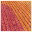 Kép 4/5 - Muse szőnyeg Orange Retro MU13 80x150cm