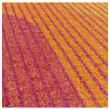 Kép 4/5 - Muse szőnyeg Orange Retro MU13 80x150cm