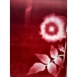 Kép 1/3 - Virágmintás Gyapjú-viszkóz Szőnyeg 170x240 cm