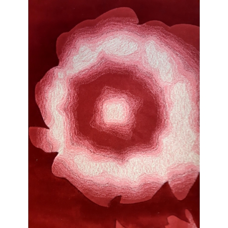 Virágmintás Gyapjú-viszkóz Szőnyeg 170x240 cm
