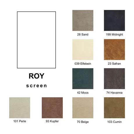 Miroo Roy téglalap alakú szőnyeg 260x390 cm